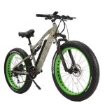 30-50Km/h Max Speed 7 Speed Fat Tyre Mountain Electric Bike with 3 Hours