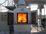 220V/380V Operation Voltage Medical Waste Incineration Plant For Large Clinical