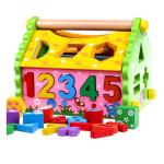 Kids Shape Sorter Wisdom House Wooden Montessori Bright