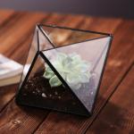Mini Metal Tabletop Geometric Air Plant Holder , Himmeli Decor Glass Air Plant