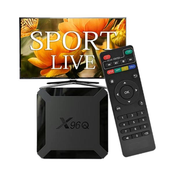 Lifetime Free X96Q 4K Xxx.xxx Video TV Box TOP 1 Hot Selling Android World