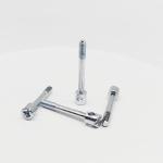 Electroplated Meter Sealing Screws Lead Seal Security Screws For Utility Meters