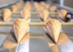 Automatic Waffle Cone Production Line,61 Cast Iron Baking Templates, Stainless