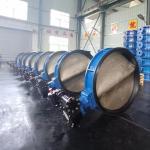 Handle Butterfly Valve Ductile Iron Manual Wafer Type Soft Seal Butterfly Valve