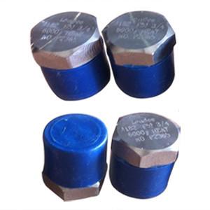 Wholesale Hex Head Plug, ASTM A182 GR F51, UNS S31803, MNPT Ends from china suppliers