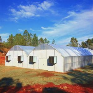 Wholesale Mushroom Multispan Curtain Automatic Blackout Greenhouse Blinds Gutter Connected from china suppliers