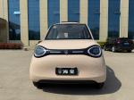 Linglong 3000WD/5000WD New Five-Door Four-Seat Four-Wheeled Electric Vehicle