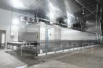 Fish Fillet IQF Continous Individual Fast Freezing Machine Food Quick Tunnel