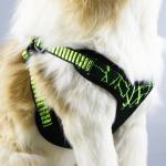 Anti Lost Pet Vest Harness Soft Safety Neoprene Wear Resistant