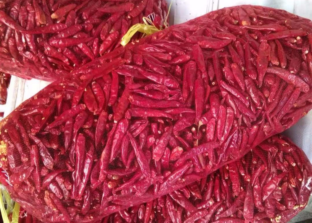 Tianjin Tien Tsin Dried Red Chilli Peppers For Cooking Ingredient