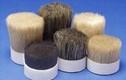 PIG HAIR