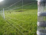 Woven Wire Field Game FenceGalvanized Sheep Farm Fence Factory Price/ 2.2mm 2
