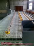 Green Color 40*27cm Rabbit Slat Floor Chicken Plastic Slat Floor Poultry Farm