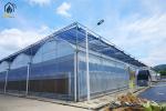 Modern Multi Span Agricultural Greenhouse PE Film Commercial Greenhouse
