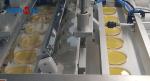 3000 Pieces Per Hour Petri Dish Filling Machine With SUS304 And SUS316
