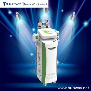 Wholesale 2014 hot slimming cryolipolysis+cavitation+vacuum+rf cryolipolysis fat loss equipment from china suppliers