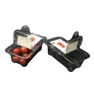 Wholesale PET Plastic Packaging Boxes Clamshell Plastic Containers Freshness Visible from china suppliers