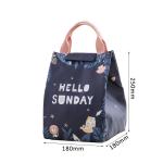 Water Resistant Polyester Insulated Lunch Cooler Bags