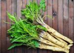 100% Pure Ingredient Horseradish Root Wasabi Special For Japanese Cuisine