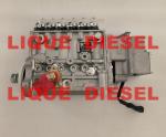 BYC pump 5258154 10404716046 10 404 716 046 CPES6P120D120RS BYC 11 415 186 003