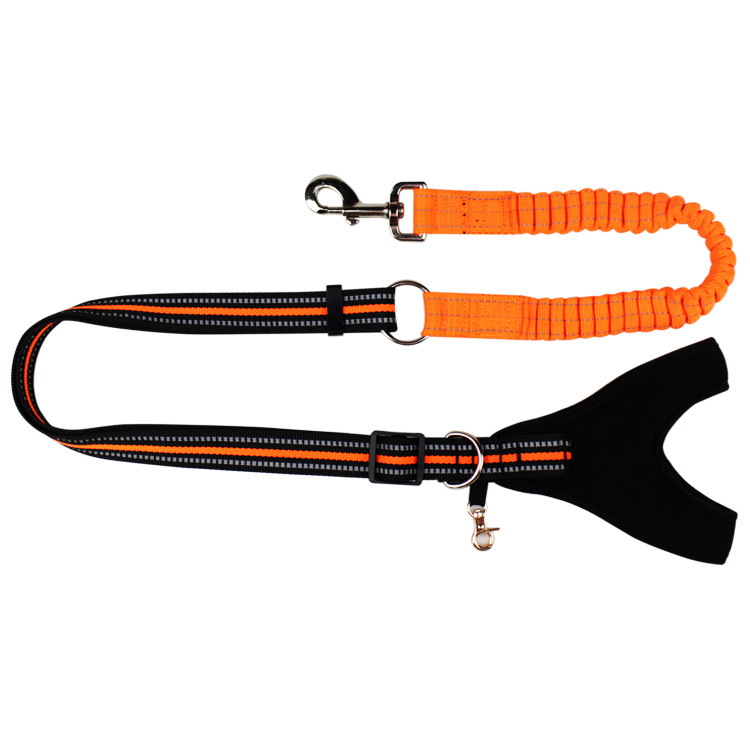 Fashion Dog Collars And Leashes With Elastic Extended Retractable Nylon Braided Rope