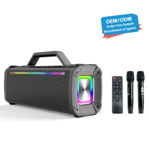 Wholesale Frequency Response 45Hz-20KHz Portable Wireless Karaoke Speaker for Outdoor Parties from china suppliers
