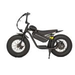 16 inch Fat Tire Electric Kids Bike Off-road Customized Dirt Bike with 31-60 km