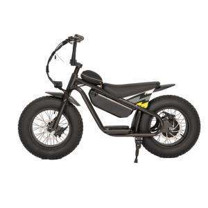 Wholesale Off-road Fat Tire Electric Kids Bike with Aluminum Alloy Frame and Hydraulic Disc Brake from china suppliers
