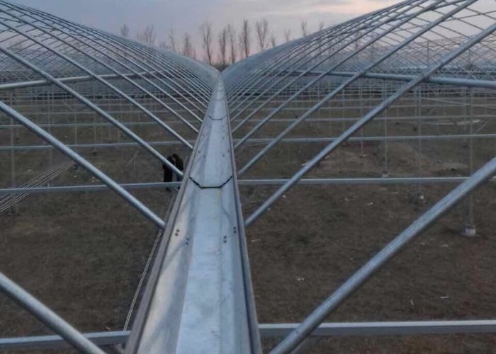 Double Layer Plastic Film Greenhouse With Cooling System Heating System Shading System Grow Tomatoes