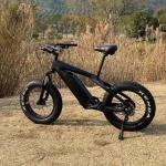 Kenda 26''*4.0 Fat Tire Bafang Motor Ultra Light Long Range Carbon Fiber Enduro