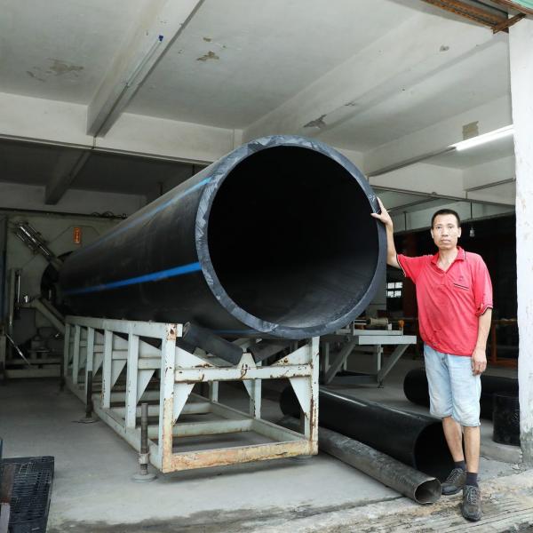 Dispersoid Plastic Warehouse Moisture Barrier or Forklift Pallet 150.00cm * 70.00cm * 40.00cm for Processing Services