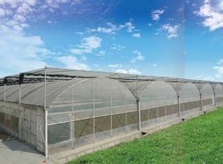 Efficiently Grow Crops Solar Agricultural Greenhouses All Year Round