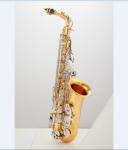 There's the tenor saxophone, the tenor saxophone, High Grade adjustable height