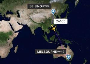 Wholesale Professional Air Freight From China To Oceania Overseas Freight Shipping from china suppliers