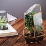 Large Terrarium Glass Homeware Hexagon Planter Container For Succulent Plant