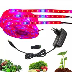Wholesale Full Spectrum Usb Greenhouse Hydroponic Indoor Plant Grow Lights from china suppliers