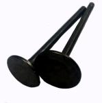 TS16949 Steel CG125 Motorcycle Exhaust Valve