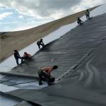 Fish Farming HDPE Geomembrane Liner 1mm 0.5mm 1.5mm Black White Blue Green