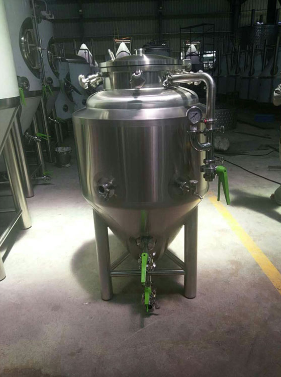 Stainless Steel Industrial Beer Brewing Systems with Adjustable Voltage and Full Set
