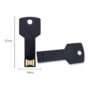 Wholesale Cheap Key Shape Metal Pen Drive 2Gb USB flash drive for Corporate Promotional gifts from china suppliers