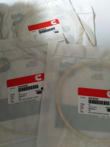 Wholesale Cummins NT855 diesel engine parts Liner Seal Ring 3054948 from china suppliers