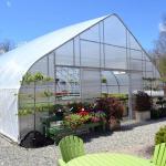 500m2 Garden Gothic Greenhouse Poly Film Stong Wind Resistance For Tomatoes