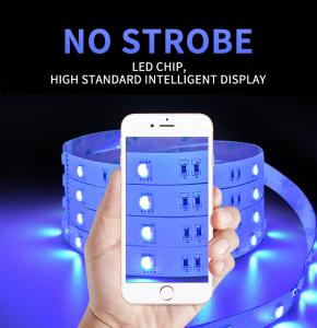 Wholesale 5050 RGBW Full Color Flexible Neon Strip Light Waterproof 1m Length Customizated from china suppliers