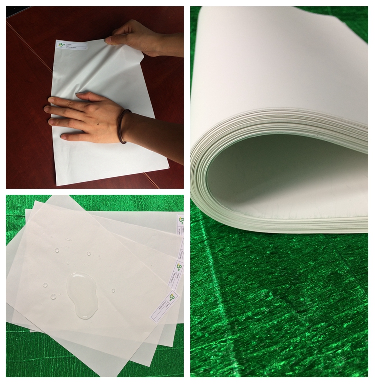 Stone paper