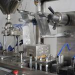 Plastic Tablet Aluminum Blister Packing Machine 110mm Feed Travel