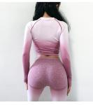 Ombre Seamless Women's Yoga Apparel / Women Gym Clothing Gradient Leggings+Long