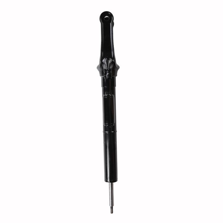 Germany Auto Parts Air Suspension System 2513200730 Air Suspension Strut