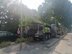 Used Machine Crane Type Telescopic Straight Boom Crane 50 Ton 55 Ton Zoomlion