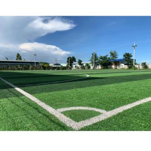 Wholesale 40mm Tender Green Artificial Grass Roll For Football Pitch from china suppliers