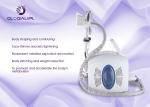 Weight Loss Salon Equipment Portable Fat Freezing Cryotherapy Cryolipolysis